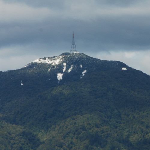 Slide Image